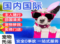 二连浩特赛乌素航空邮寄国际宠物托运 【国